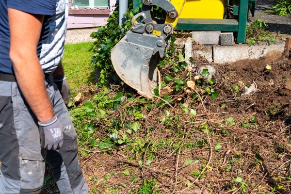 Hedge Removal Service in Provo