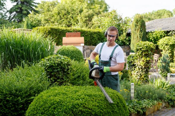 Shrubs Trimming in Provo