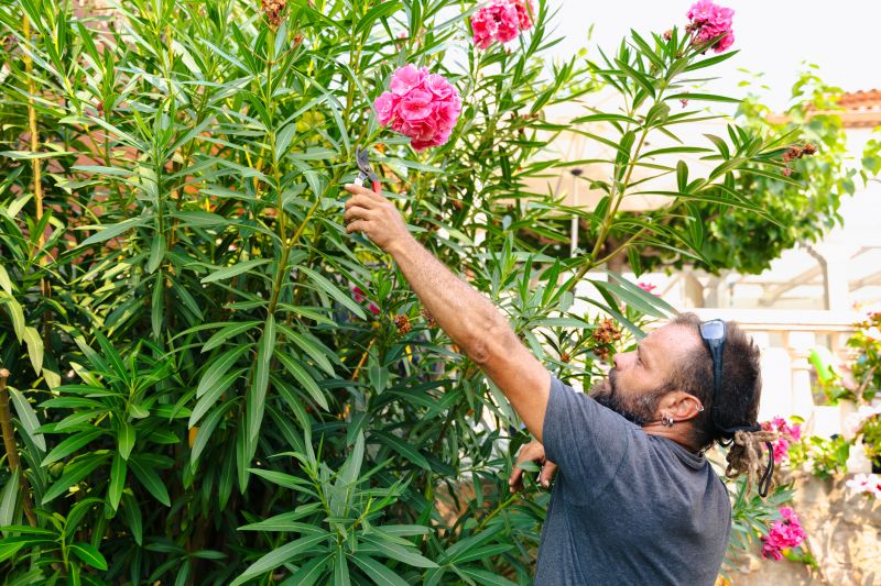 Shrubs in Bloom After Trimming